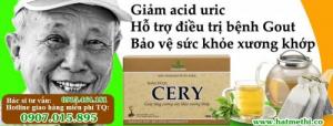 Thảo dược CERY HT điều trị gout, tăng cường sức khỏe xương khớp