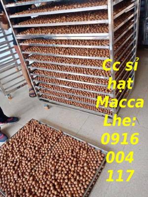 Cc hạt Macca tốt cho sức khỏe bà bầu Lhe 0916004117