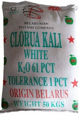 Phân phối khoáng kali KCl cung cấp khoáng cho ao nuôi