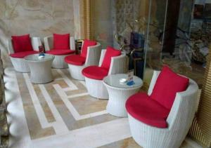Ghế thúng giả mây cao cấp nhiều màu mẫu mã đa dạng giá sỉ..