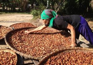 Bột Cacao thức uống giúp giảm cân tối ưu cho chị em phụ nữ Lhe 0916004117