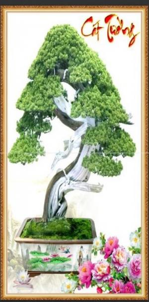 Tranh 3d cây tùng - gạch tranh 3d cây tùng