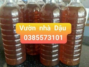 Bán mật ong hoa cà phê