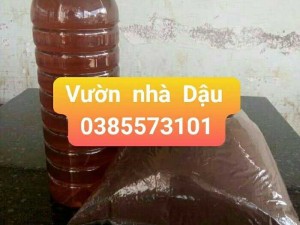 Bán mật ong hoa cà phê