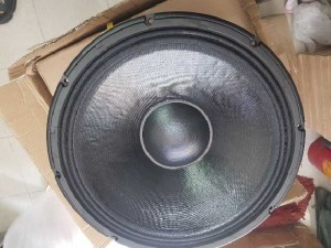 Loa sub 50 rcf coil 125 từ 280