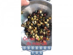 Bán ốc táo , vi sinh quang hợp psb , tim bò hỗn hợp.....