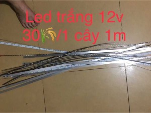 Bán ốc táo , vi sinh quang hợp psb , tim bò hỗn hợp.....