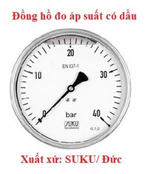 Những điều cần lưu ý khi chọn đồng hồ áp suất