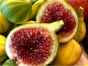 Sung Mỹ Panache - Panache fig