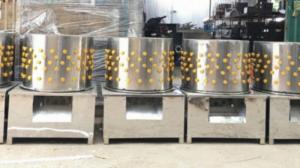 Mua Máy vặt lông gà, ngan, vịt Gọi 0986387 472 Điện Máy Xuân Phú giao hàng tận nơi