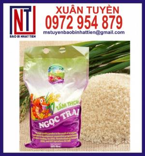 In ống đồng túi đựng gạo 5kg giá cạnh tranh