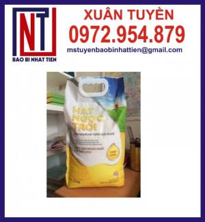 Chuyên cung cấp in ấn túi gạo 5kg PA.PE