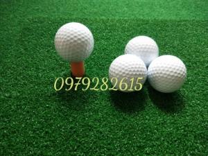 Tee golf, bóng tập golf
