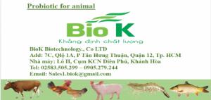 Cần tìm đại lý phân phối men vi sinh nguyên liệu hàng công ty BioK