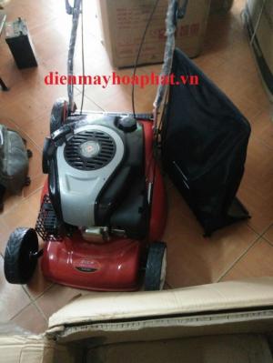 Máy cắt cỏ tự hành đẩy tay chạy xăng DICH DCM1668 cắt sân gold, sân bóng.