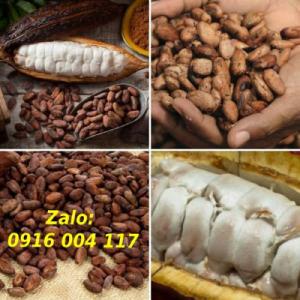 Sỉ lẻ bột Cacao nguyên chất daklak Lhe 0916004117