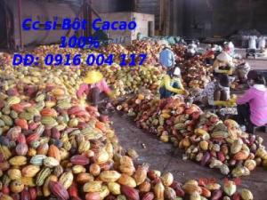 Sỉ lẻ bột Cacao nguyên chất daklak Lhe 0916004117
