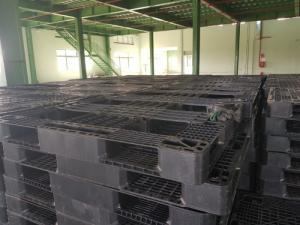 Thu mua pallet nhựa cũ tại Đà Nẵng, Quảng Nam