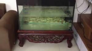 Tủ Để Bể Cá