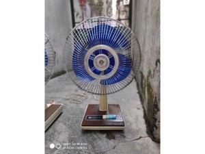 Quạt nhật nội địa National