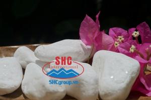 Đá hạt trắng cao cấp Sơn Hà