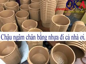 chau ngam chan nhua