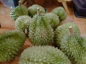 Bán sầu riêng r6 chín rụng