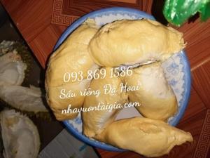 sầu riêng Ri 6. Sầu riêng Đạ Hoai 093 869 1586