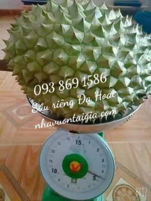 Sầu riêng Ri 6 Đạ Hoai thùng 5kg
