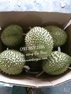 Sầu riêng Ri 6 Đạ Hoai thùng 5kg