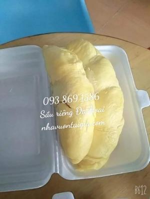 Sầu riêng Đa Hoai Lâm Đồng cơm sầu riêng Ri 6