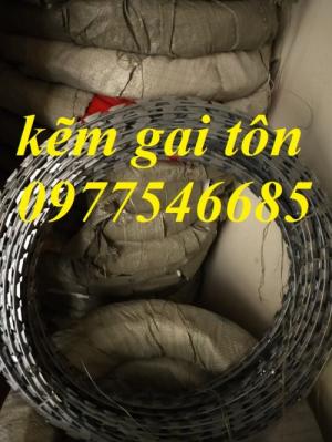 Dây thép gai lưỡi dao