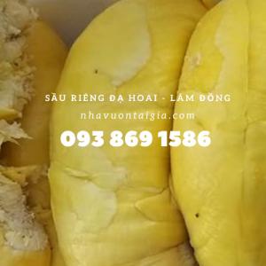 Gọi 093 869 1586 - Mua sầu riêng Ri6 tại TPHCM