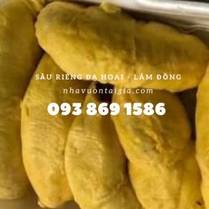 Gọi 093 869 1586 - Mua sầu riêng Ri6 tại TPHCM