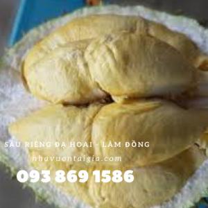 Gọi 093 869 1586 - Mua sầu riêng Ri6 tại TPHCM
