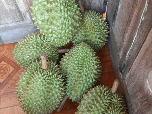 Bán sầu riêng thái chín rụng