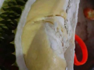Bán sầu riêng thái chín rụng