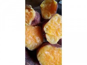 Khoai lang mật ngon loại nhỏ 1 ký
