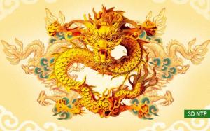 Gạch tranh 3d ốp tường hợp tuổi thìn