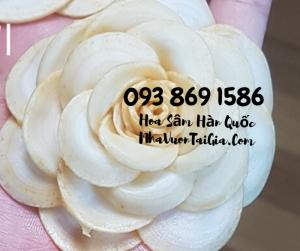 Hoa Sâm Hàn Quốc mua tại TPHCM gọi 093 869 1586