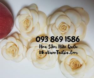 Hoa Sâm Hàn Quốc mua tại TPHCM gọi 093 869 1586