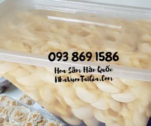 Hoa Sâm Hàn Quốc mua tại TPHCM gọi 093 869 1586