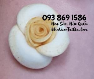 Hoa Sâm Hàn Quốc quà tặng phụ nữ Gọi 093 869 1586