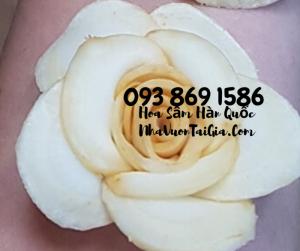 Hoa Sâm Hàn Quốc quà tặng phụ nữ Gọi 093 869 1586