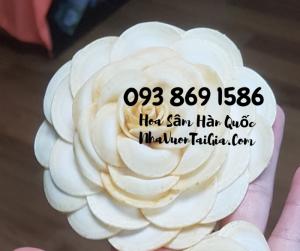 Hoa Sâm Hàn Quốc quà tặng phụ nữ Gọi 093 869 1586