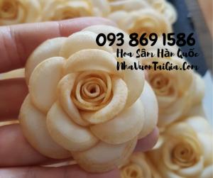 Hoa Sâm Hàn Quốc sỉ TPHCM - Gọi 093 869 1586