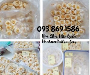 Hoa Sâm Hàn Quốc sỉ TPHCM - Gọi 093 869 1586