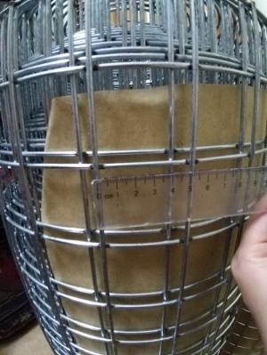 Chuyên bán lưới thép hàn D3 ô 50x50 tại Phú Thọ