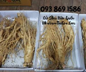 Mua Nhân Sâm củ Gọi 093 869 1586 Sâm Tươi Hàn Quốc 3 củ 1kg - Mua sâm tươi Hàn Quốc TPHCM -