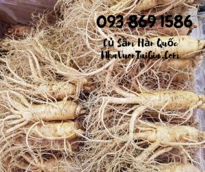 Mua Nhân Sâm củ Gọi 093 869 1586 Sâm Tươi Hàn Quốc 3 củ 1kg - Mua sâm tươi Hàn Quốc TPHCM -